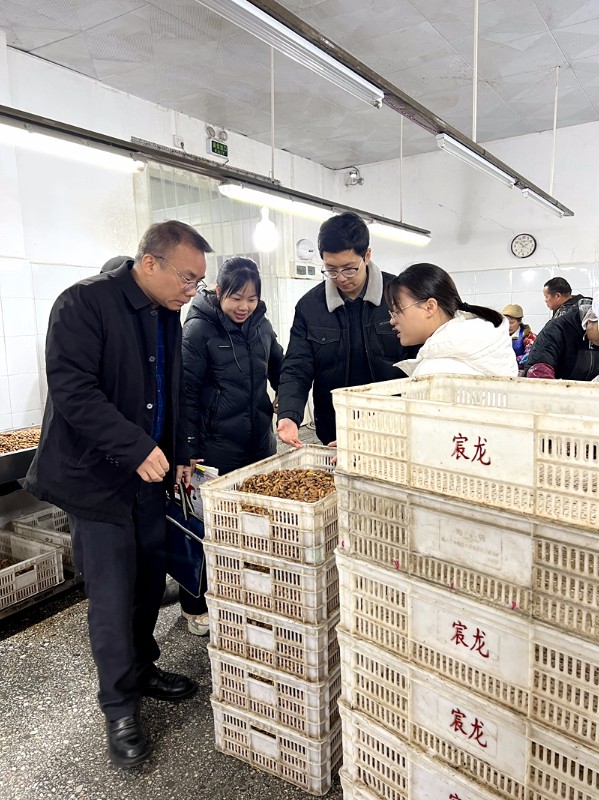 到河池市宸龍食品有限公司開展現場指導.jpg